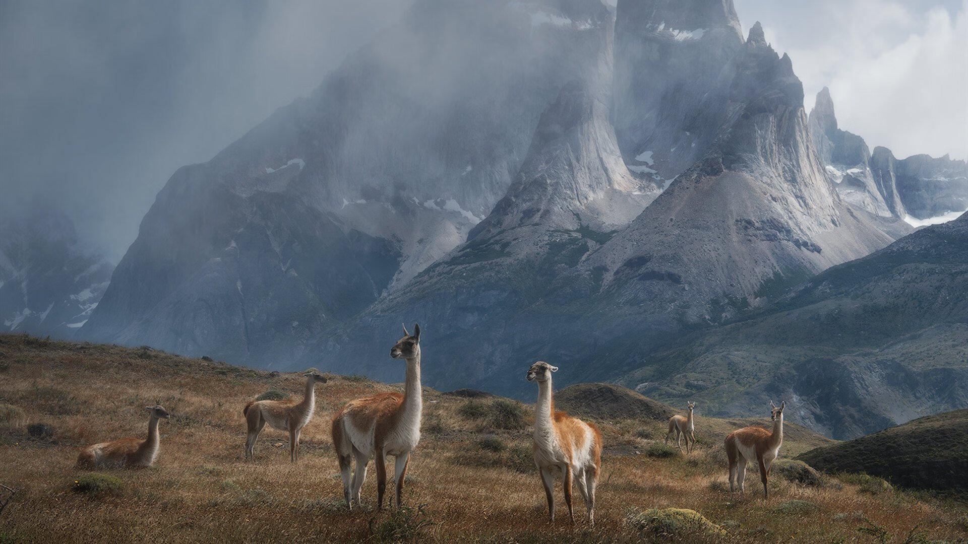 NBA新秀表现全面评估,nba 新秀榜