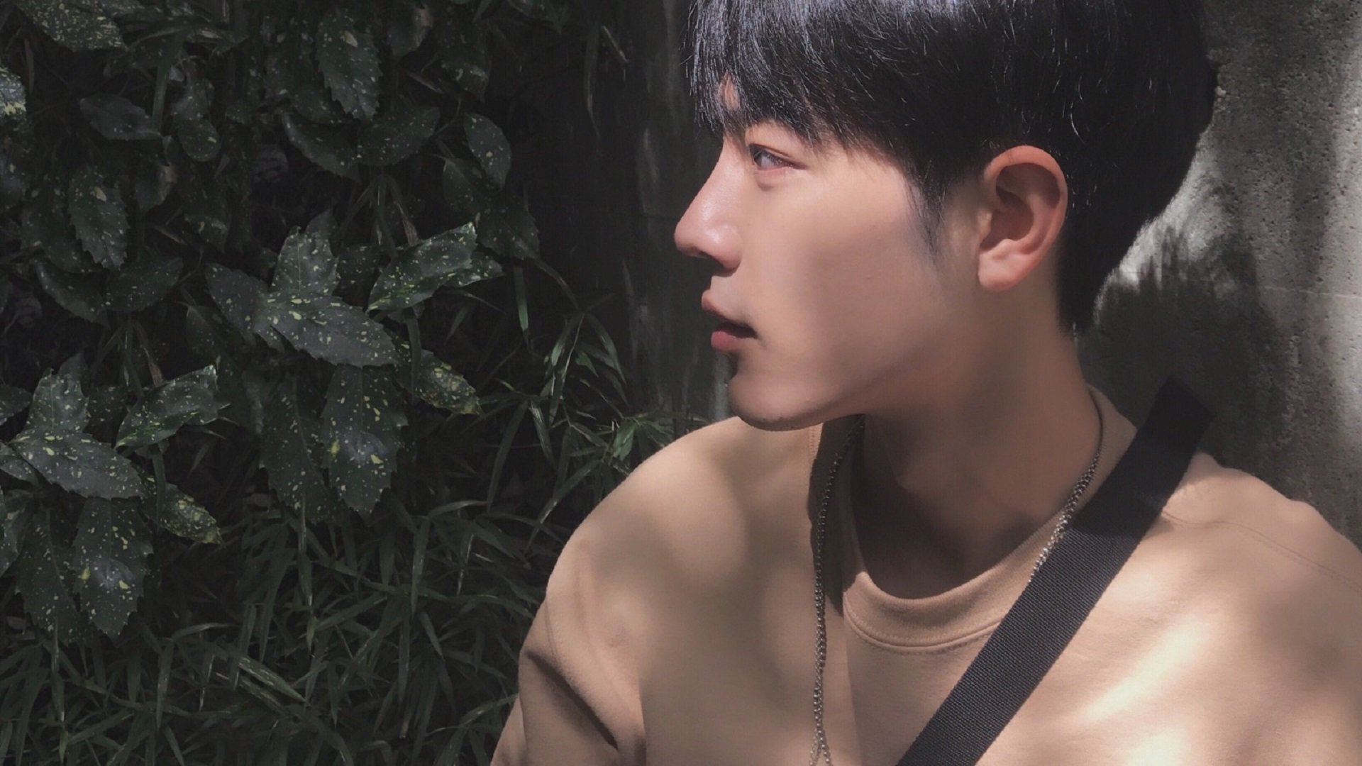 女子排球主力阵容调整优化战术组合,女子排球队员组成