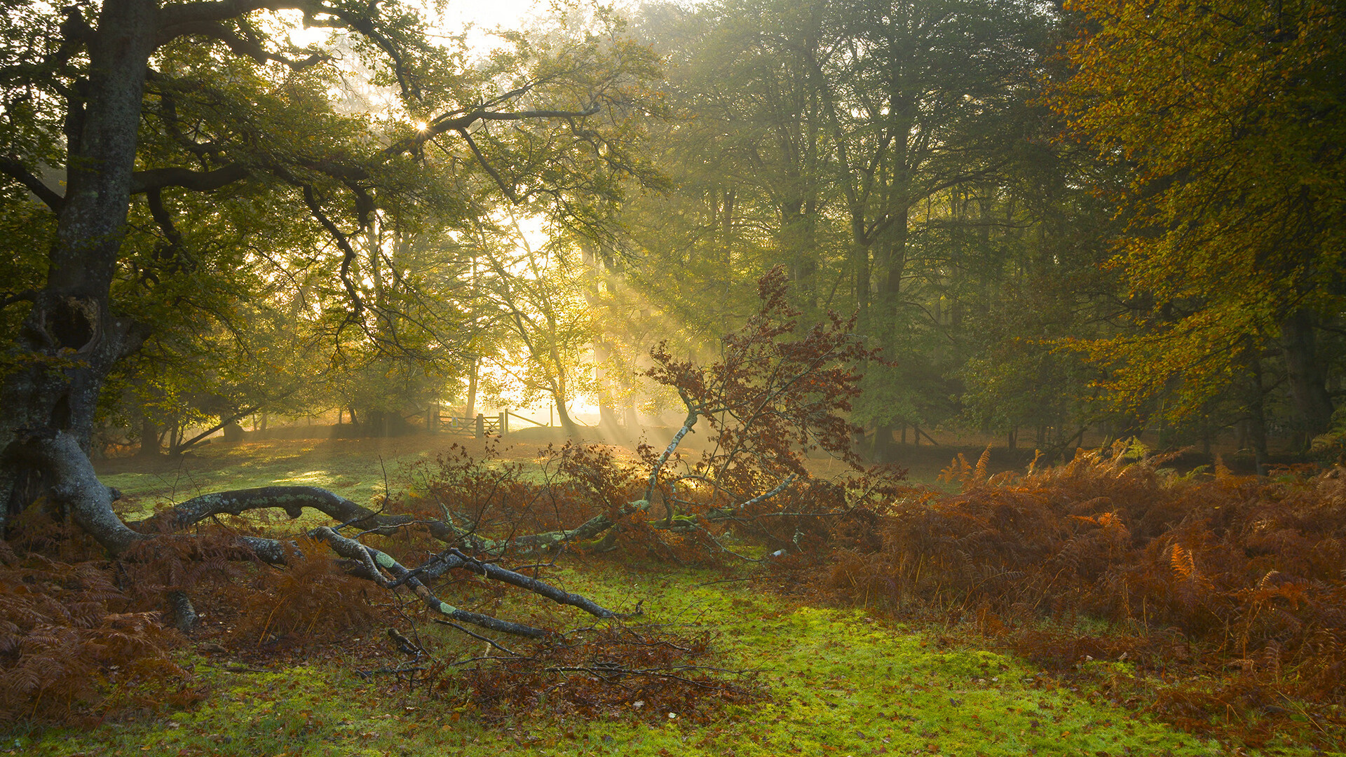 女子篮球青训基地全面提升设施建设,女子篮球训练营
