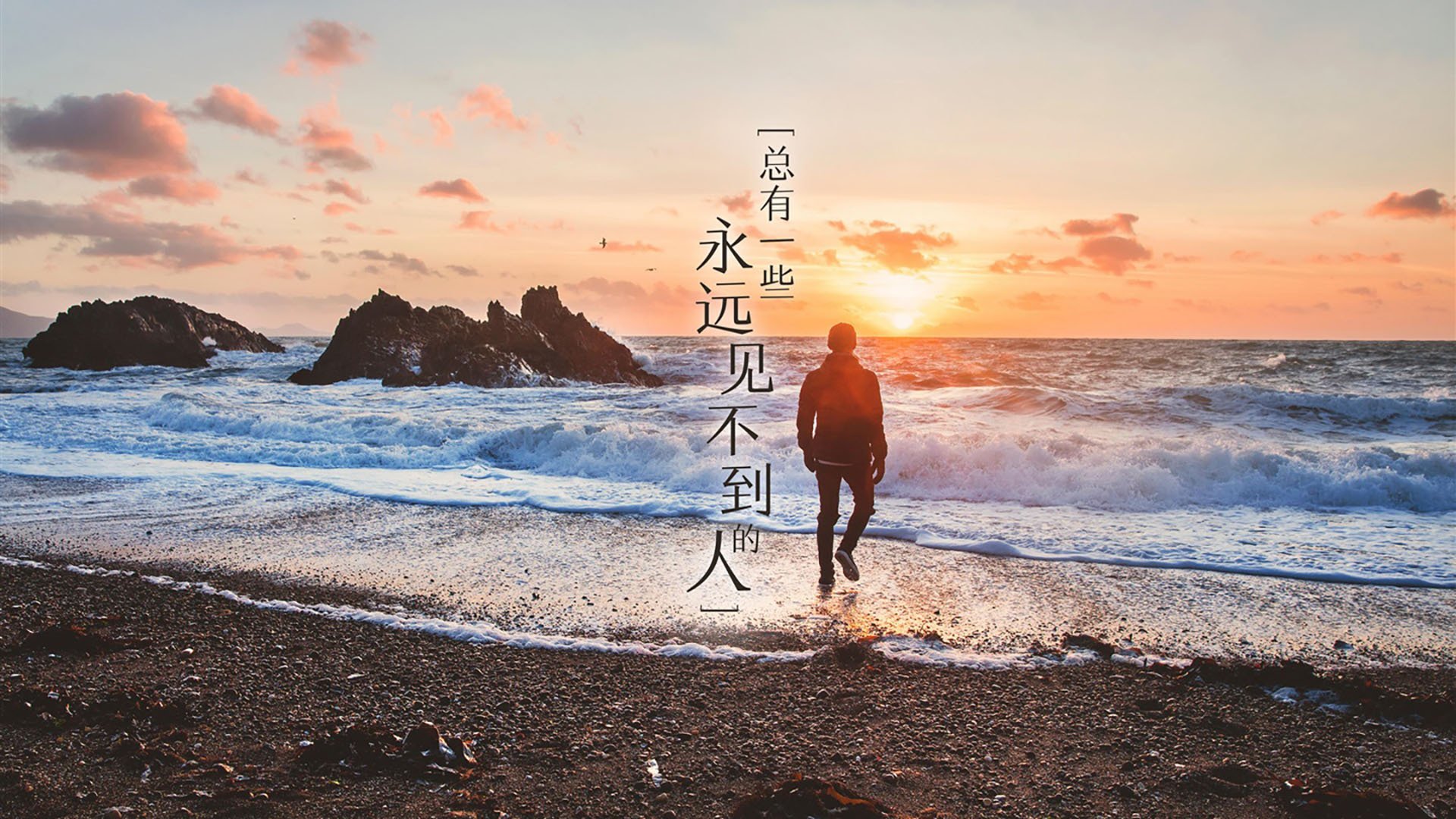 乐鱼体育入口-斯滕伯根女子100米自由泳决赛亮点纷呈，100米自由泳世锦赛冠军